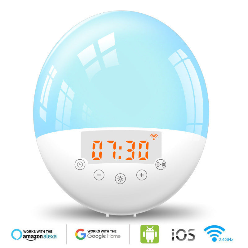 Sunrise Alarm Clock Radio/Night Light